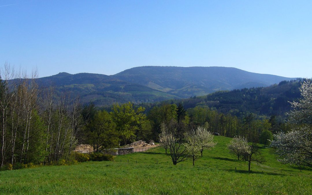 Wanderung auf der Hornisgrinde