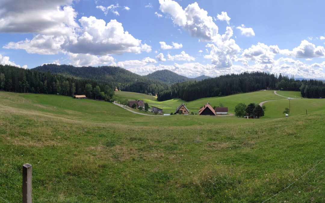 Zweitägige Wanderung im Schwarzwald