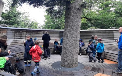Familiengruppe am Wildnispfad 