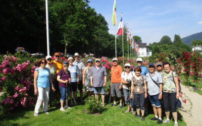 Rosenneuheiten in Baden-Baden