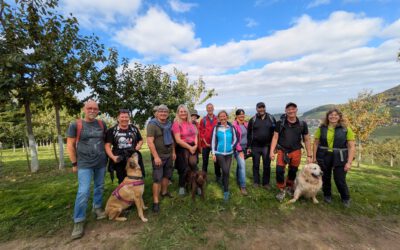 Wanderung für Ausgeschlafene