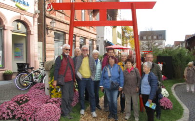 Auf der Chrysanthema in Lahr