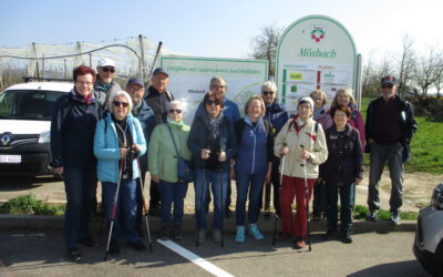 Wanderung in Mösbach