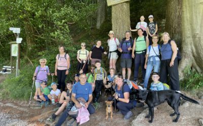 Auf dem Haslacher Wald- & Erlebnispfad