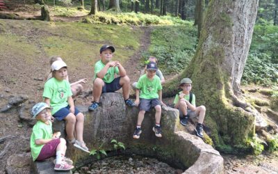 Familienwanderung nach Loßburg